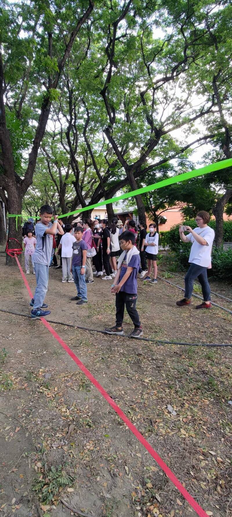 爬雨豆树体验城市生态 大小朋友看见不一样的高雄 自由时报电子报-Good Luck To You!