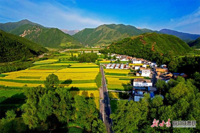 油菜花黄山峦翠 鹿鸣云卷清风徐 甘肃临夏关滩沟夏日美景“诱”人来-Good Luck To You!