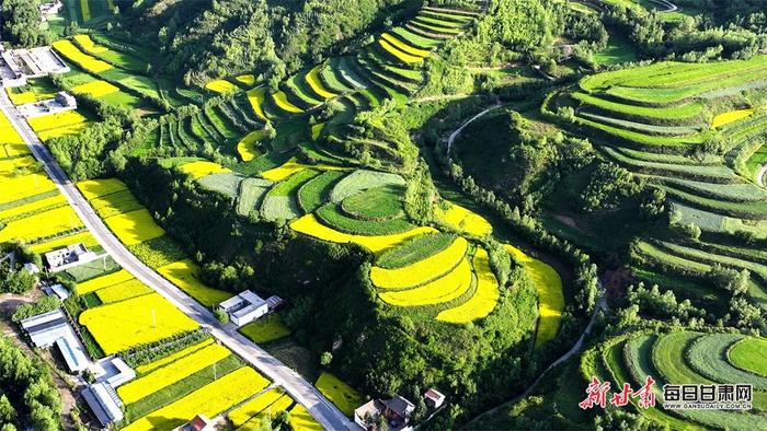 油菜花黄山峦翠 鹿鸣云卷清风徐 甘肃临夏关滩沟夏日美景“诱”人来-Good Luck To You!