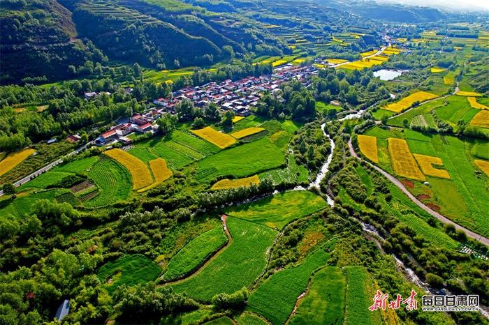 油菜花黄山峦翠 鹿鸣云卷清风徐 甘肃临夏关滩沟夏日美景“诱”人来-Good Luck To You!